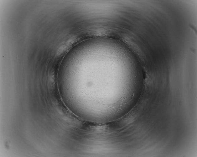 X0000103500306200809191951