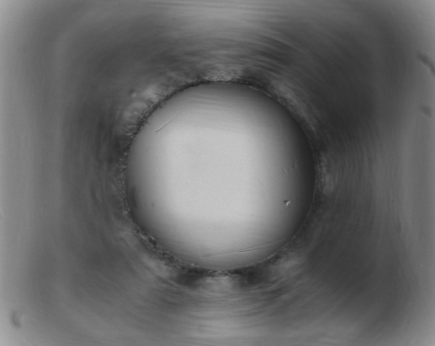 X0000103500307200809191951