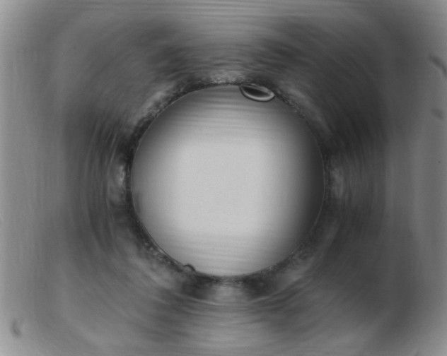 X0000103500308200809191951