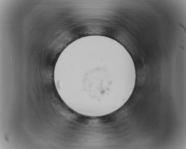 X0000103500309200809191951