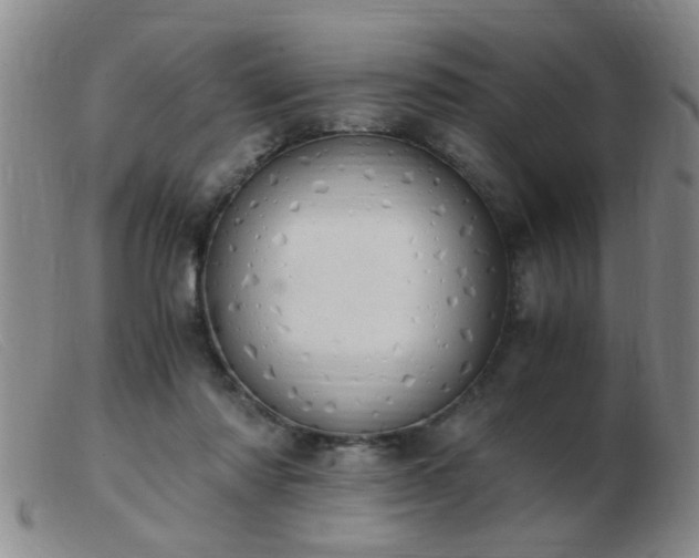 X0000103500310200809191951