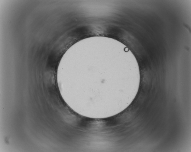 X0000103500313200809191951