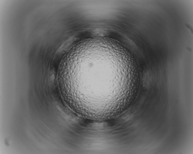 X0000103500314200809191951