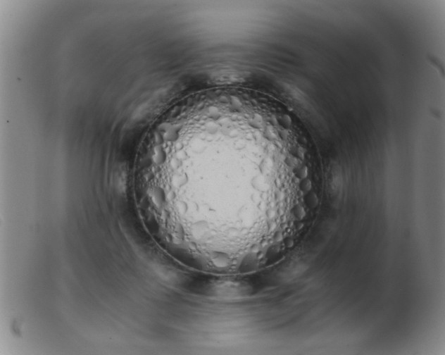 X0000103500315200809191951