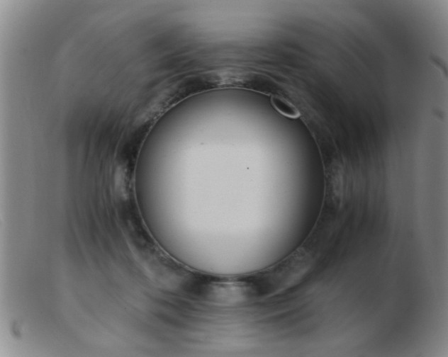 X0000103500316200809191951