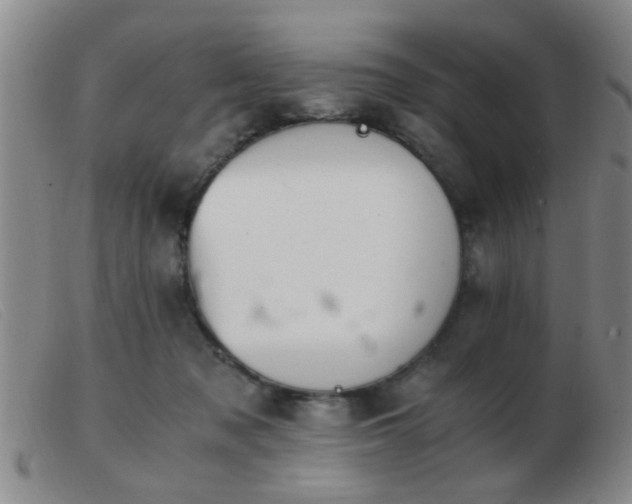 X0000103500317200809191951