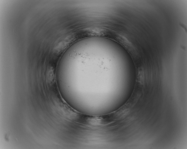 X0000103500318200809191951