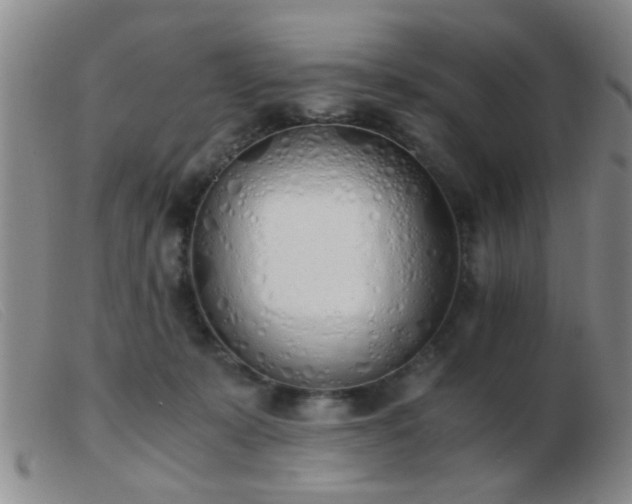 X0000103500319200809191951