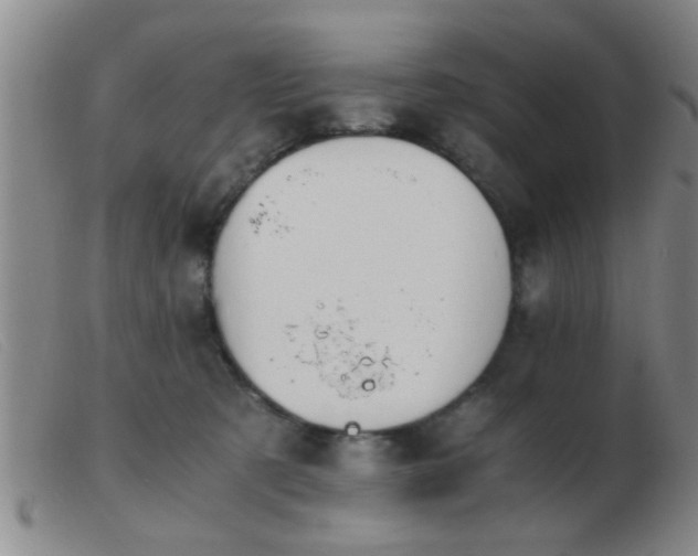 X0000103500321200809191951