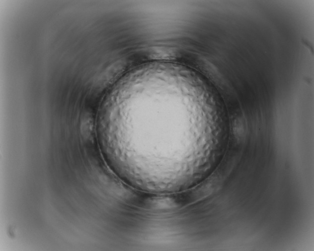 X0000103500322200809191951