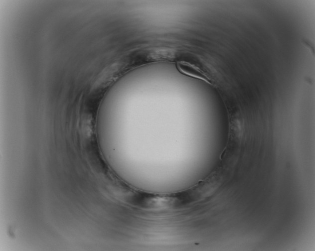 X0000103500323200809191951