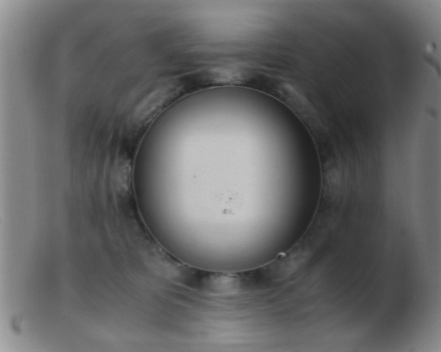 X0000103500325200809191951