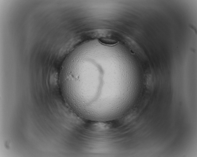 X0000103500326200809191951