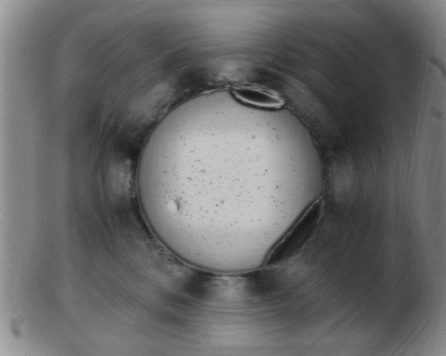 X0000103500328200809191951