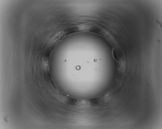 X0000103500329200809191951