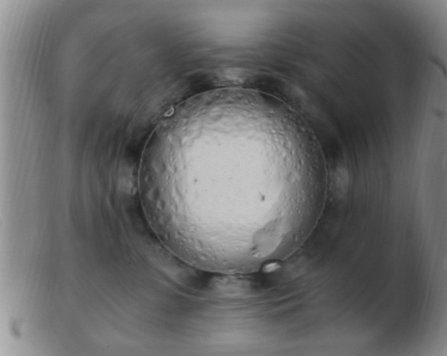 X0000103500331200809191951