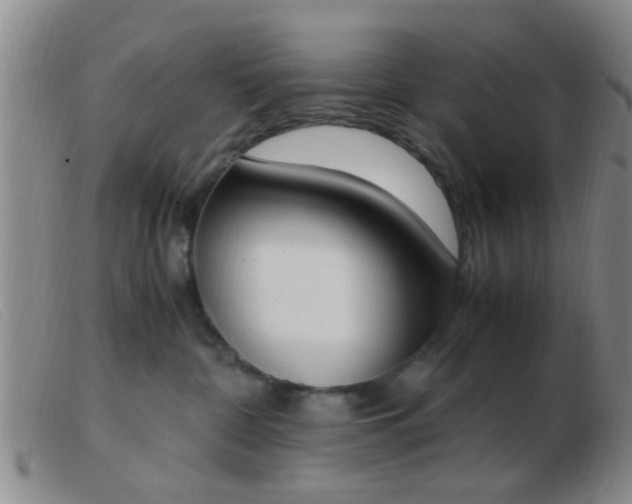 X0000103500332200809191951