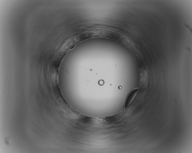 X0000103500333200809191951