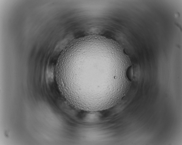 X0000103500334200809191951