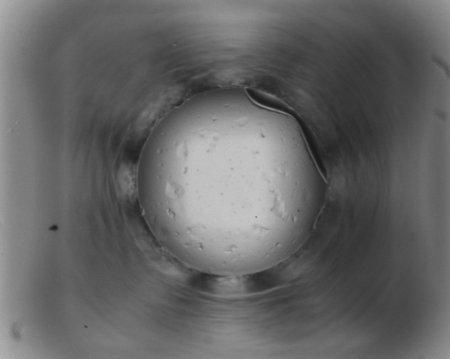 X0000103500335200809191951