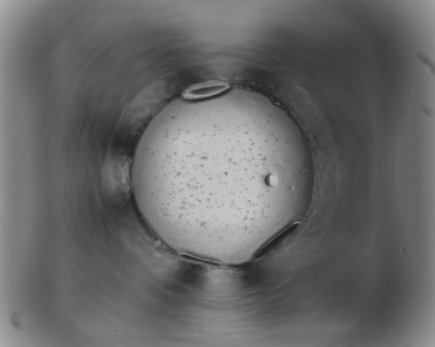 X0000103500336200809191951