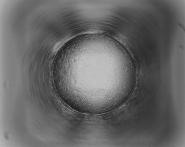 X0000103500337200809191950