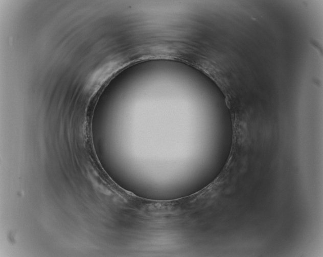 X0000103500338200809191950