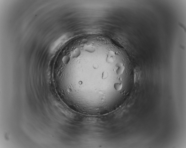 X0000103500339200809191950