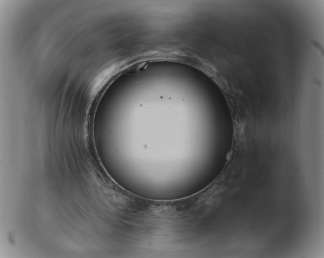 X0000103500340200809191950