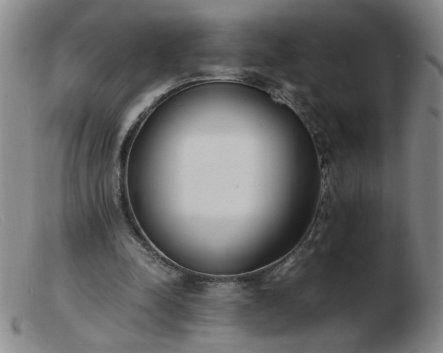 X0000103500342200809191950