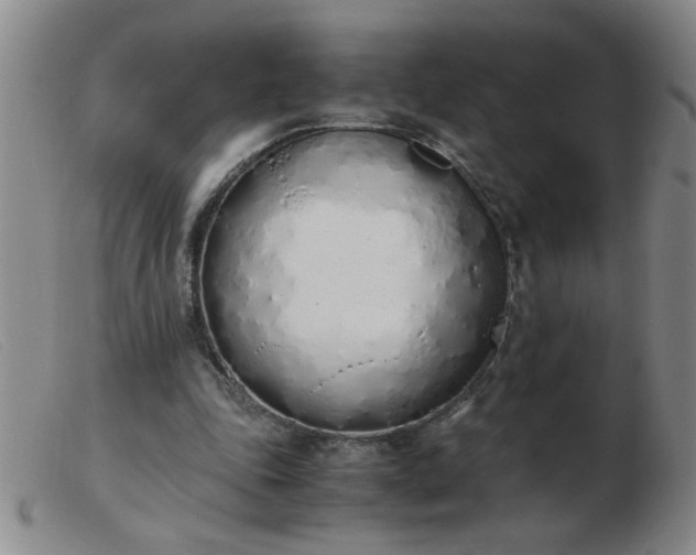 X0000103500343200809191950