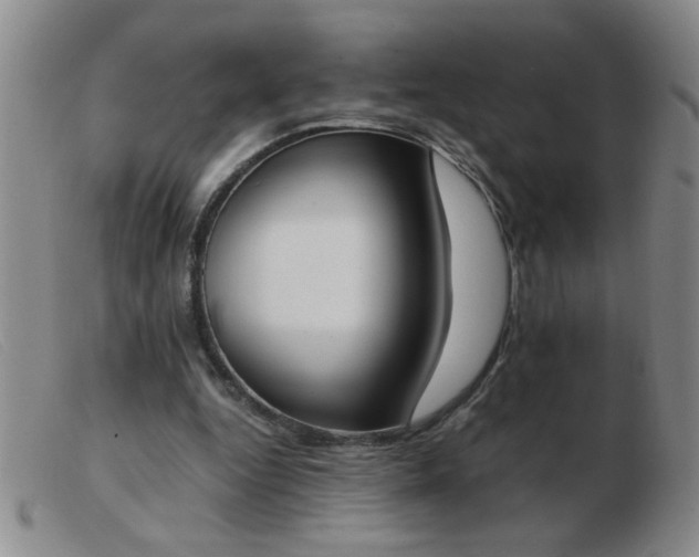 X0000103500344200809191950