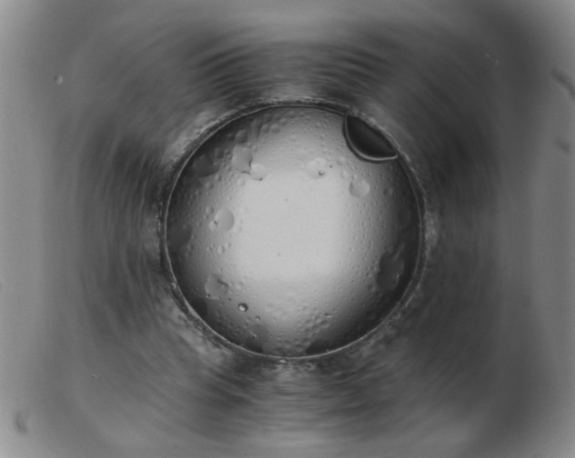 X0000103500345200809191950