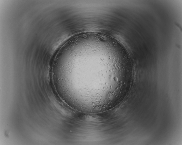 X0000103500346200809191950