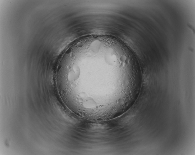 X0000103500347200809191950