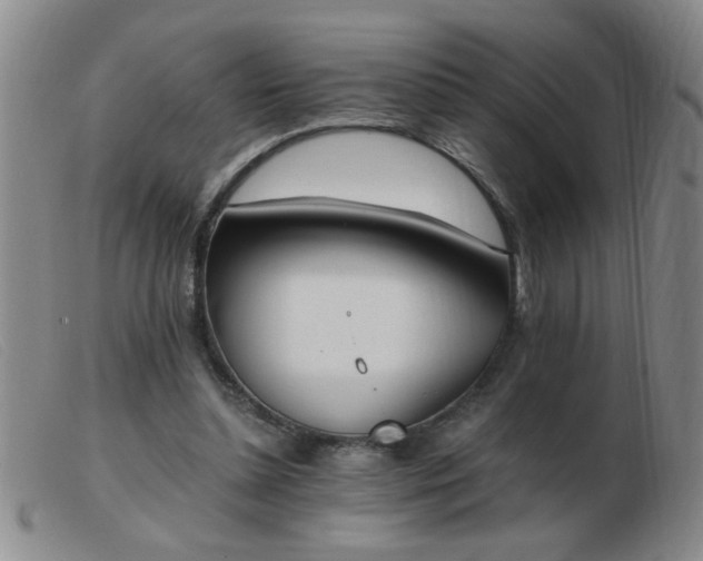 X0000103500348200809191950