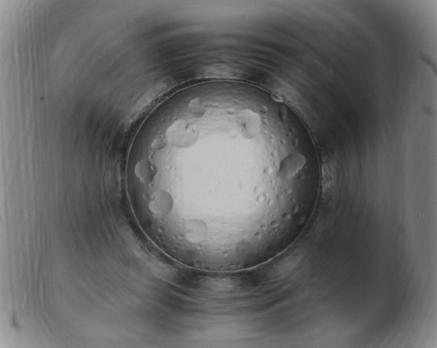 X0000103500349200809191950