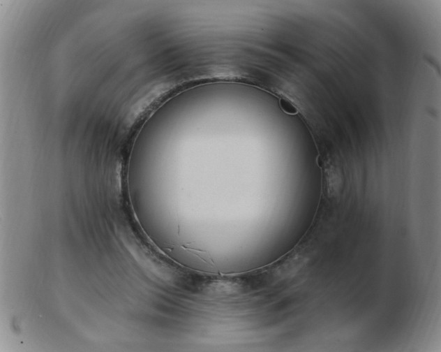 X0000103500350200809191950