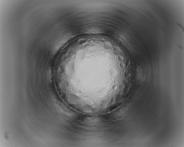 X0000103500351200809191950