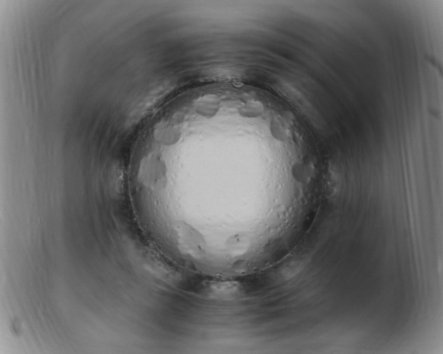 X0000103500355200809191950