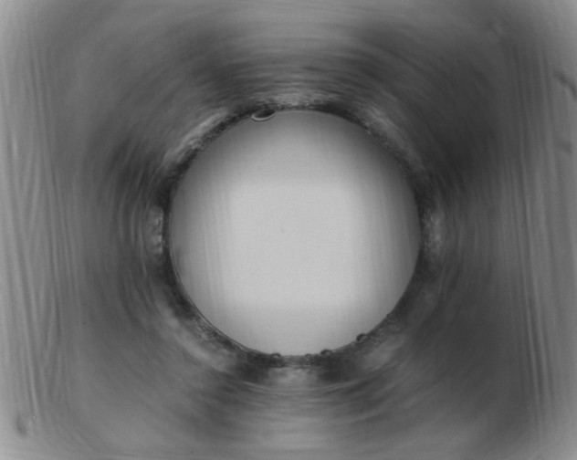 X0000103500356200809191950