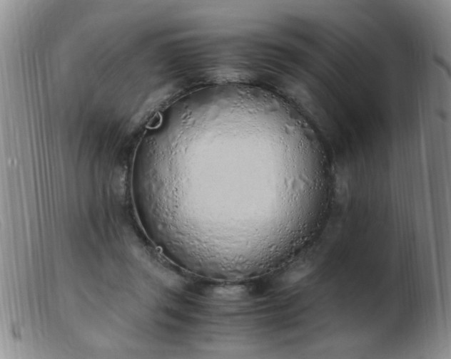 X0000103500357200809191950