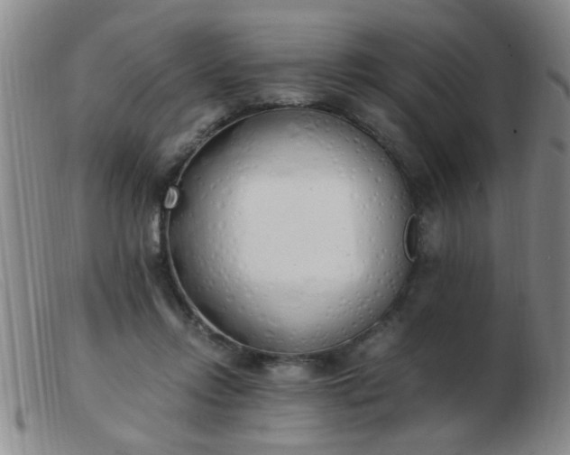 X0000103500358200809191950