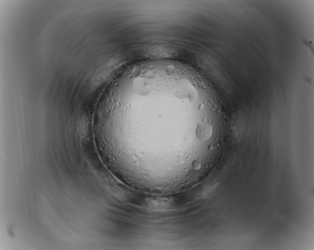 X0000103500359200809191950