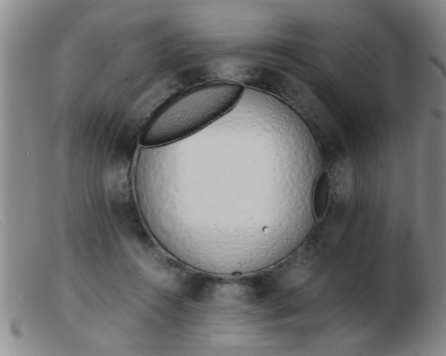 X0000103500360200809191950