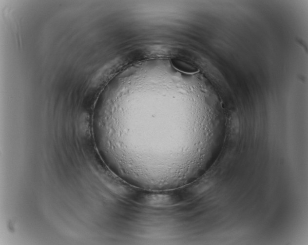 X0000103500361200809191950