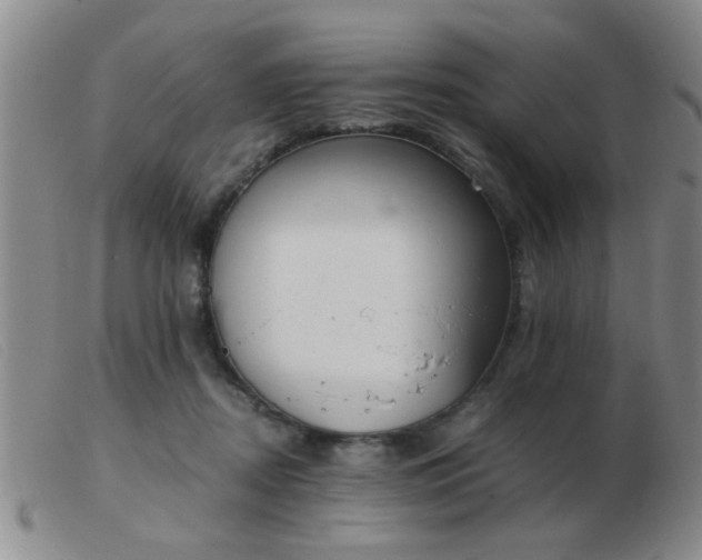 X0000103500362200809191950