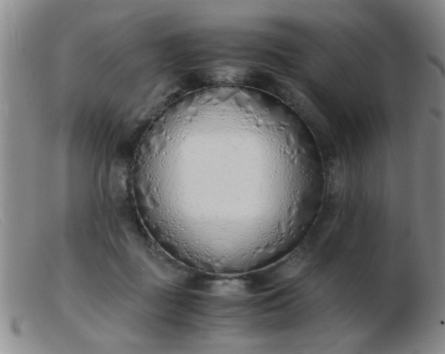 X0000103500363200809191950