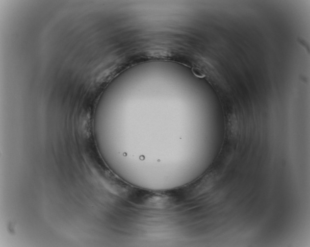 X0000103500364200809191950