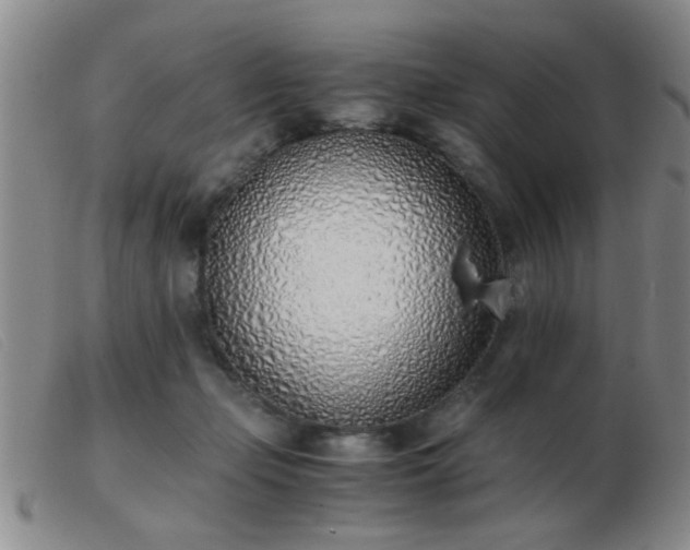 X0000103500365200809191950